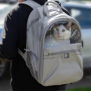 Friends Forever Pet Clear Window Backpack Carrier